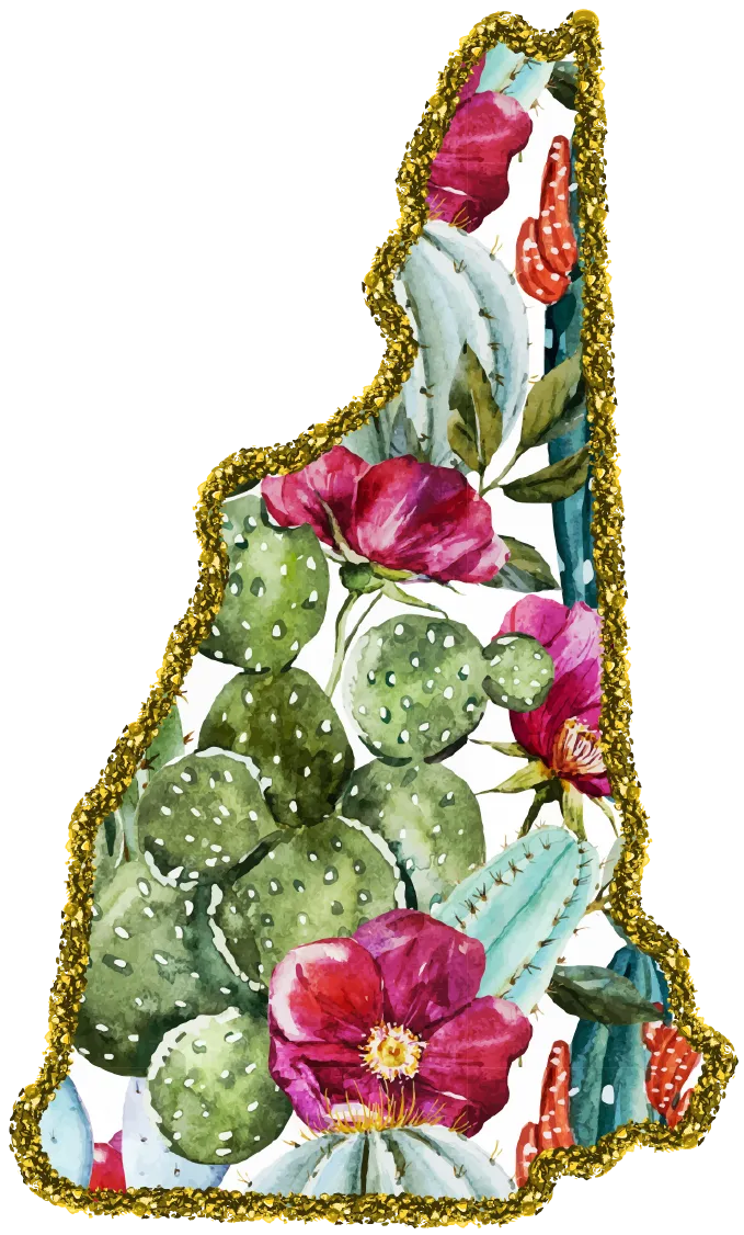 #100 Cactus Glitter State All 50 States Available