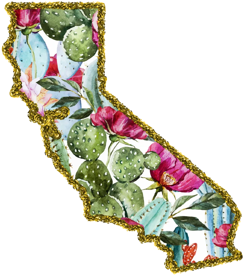 #100 Cactus Glitter State All 50 States Available