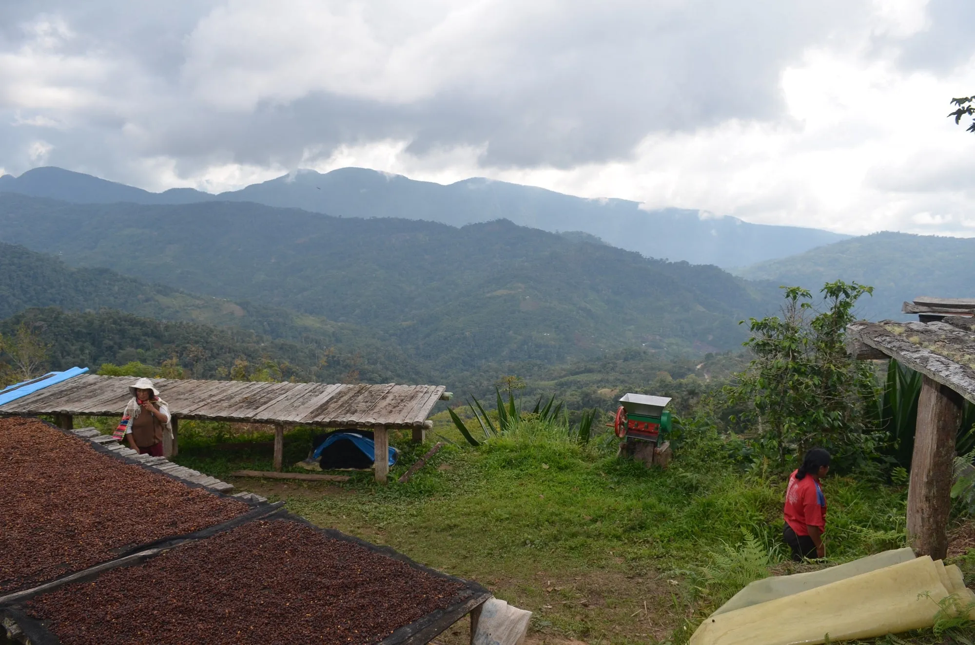 90  Find: Eulogio Luque Kantutani (Bolivia) Microlot Roast. NEW ARRIVAL!