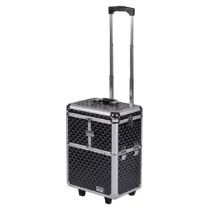 Artizta Black Diamond Coco Professional Case 6071