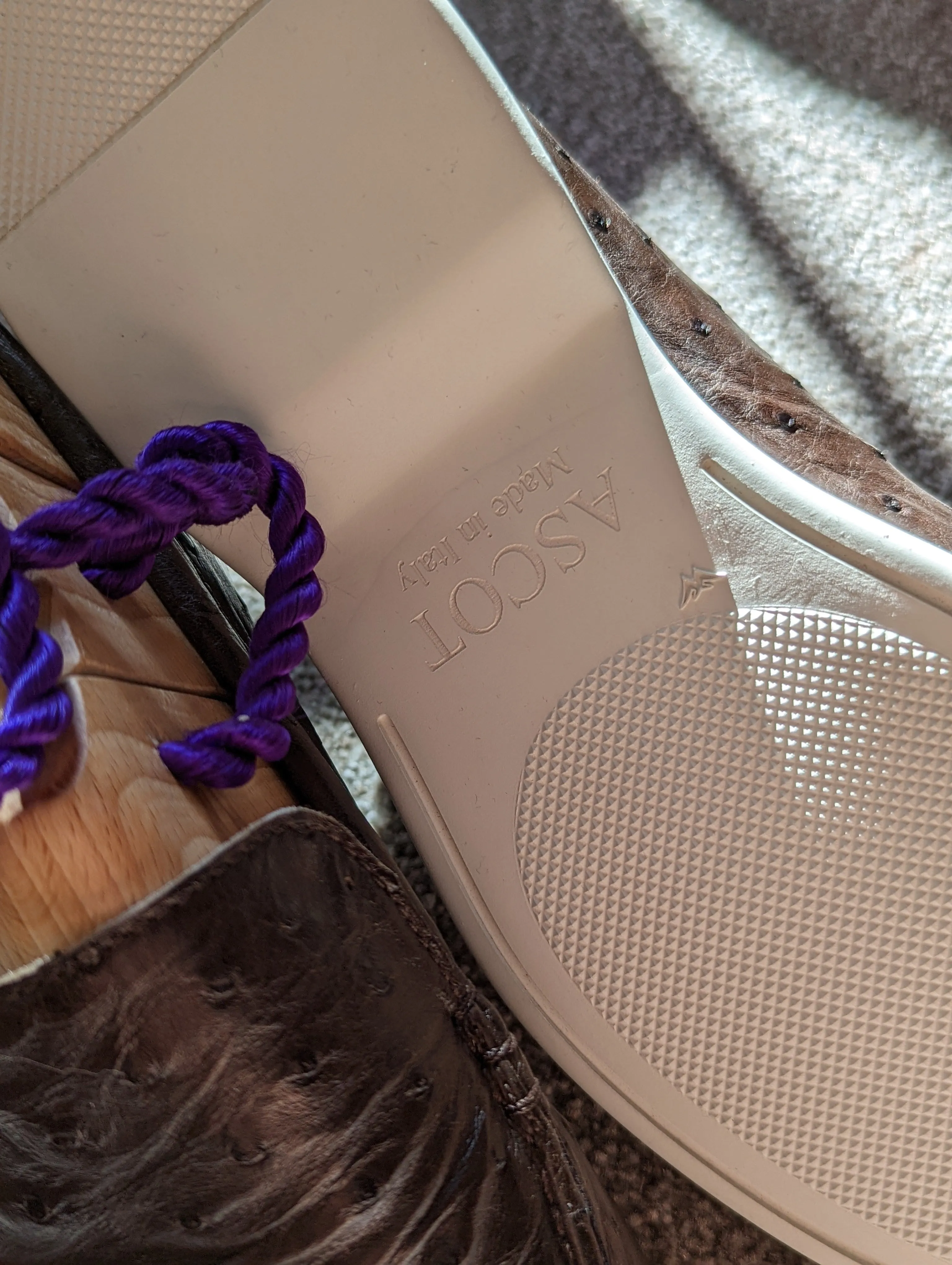 Ascot Cannes - Brown Ostrich
