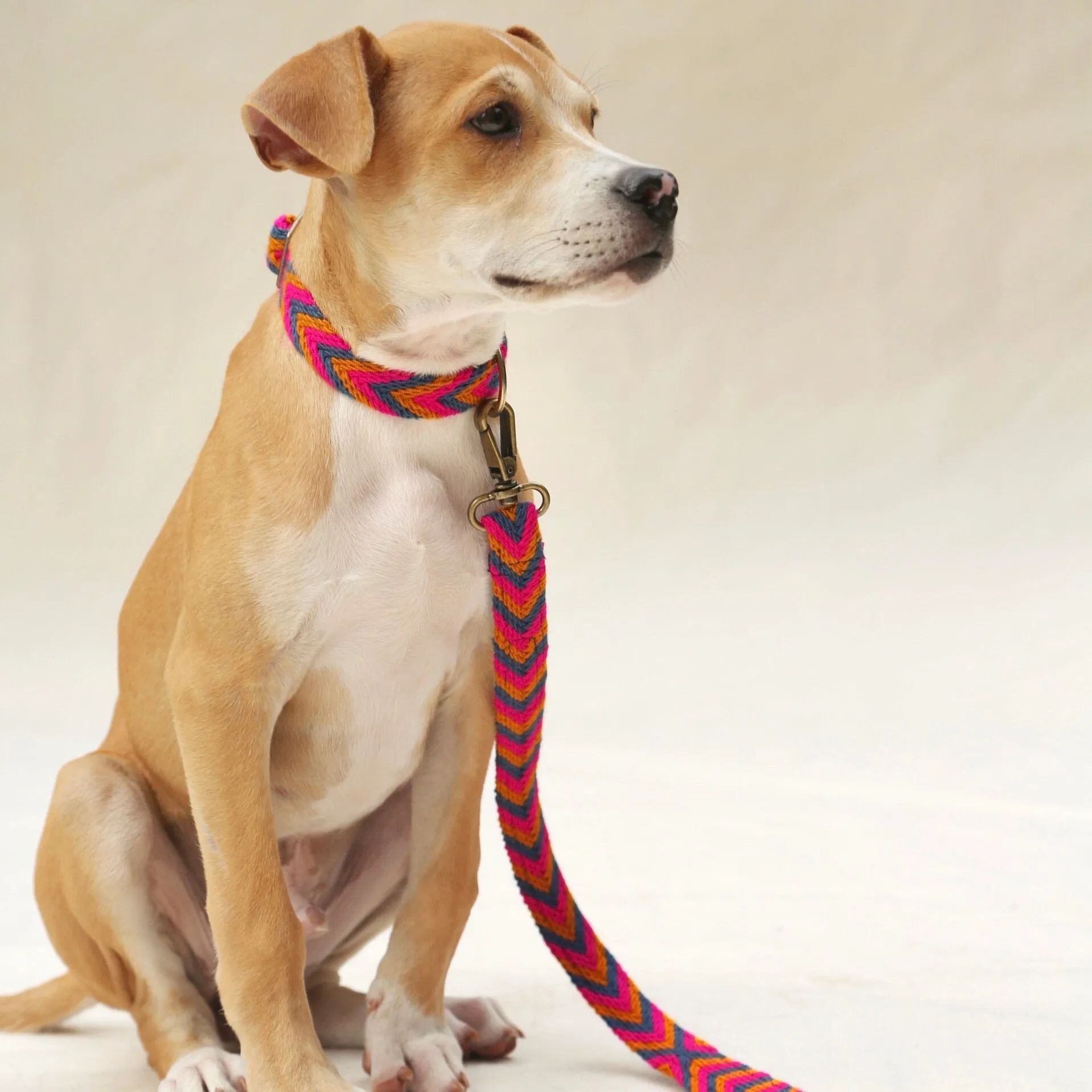 Azul Leash
