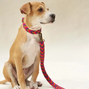 Azul Leash