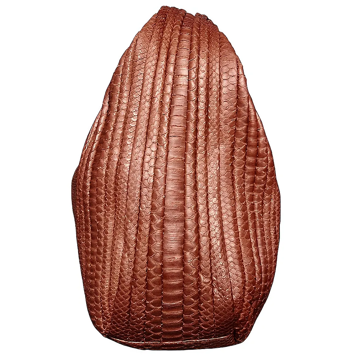 Brown Hobo Bag