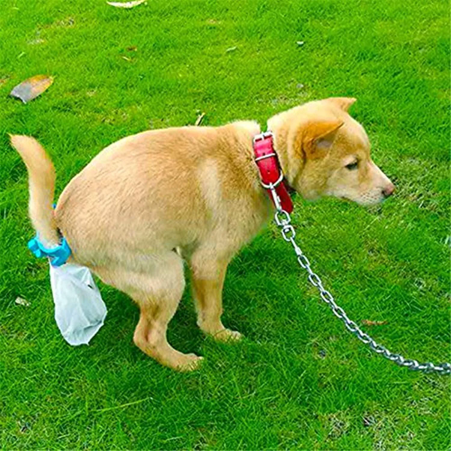 Dog Tail Poop Clip Bags with Tail Clip
