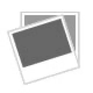 Genuine Royal Dirt Devil Style C, 3 Vacuum Cleaner Bags   1 Filter, 3747048001