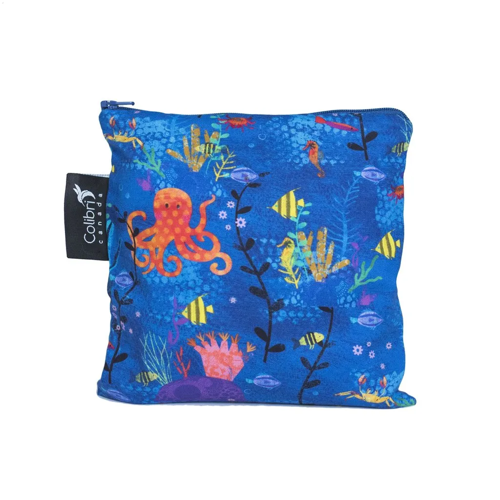 Large Snack Bag