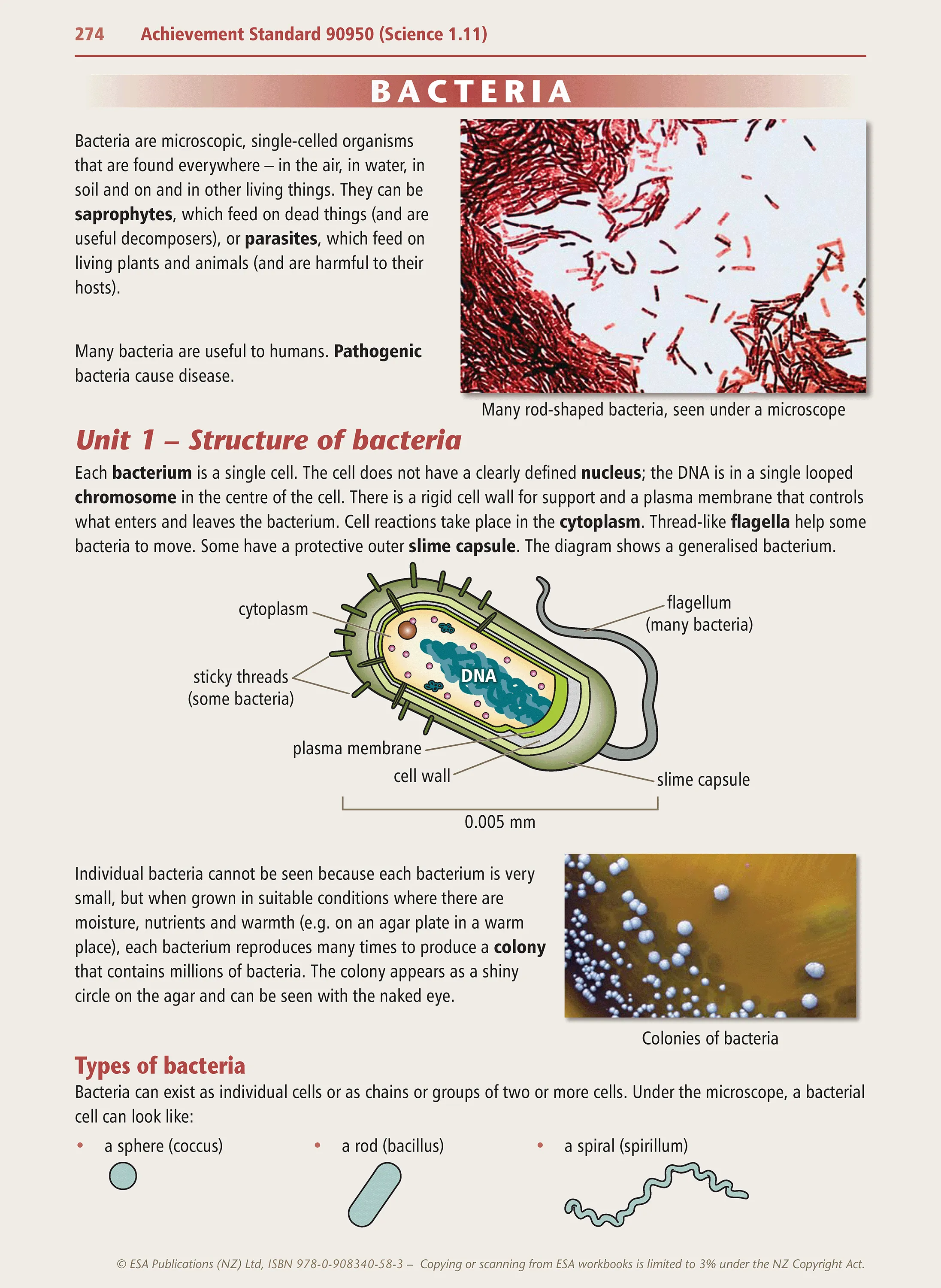 Level 1 Science Learning Workbook