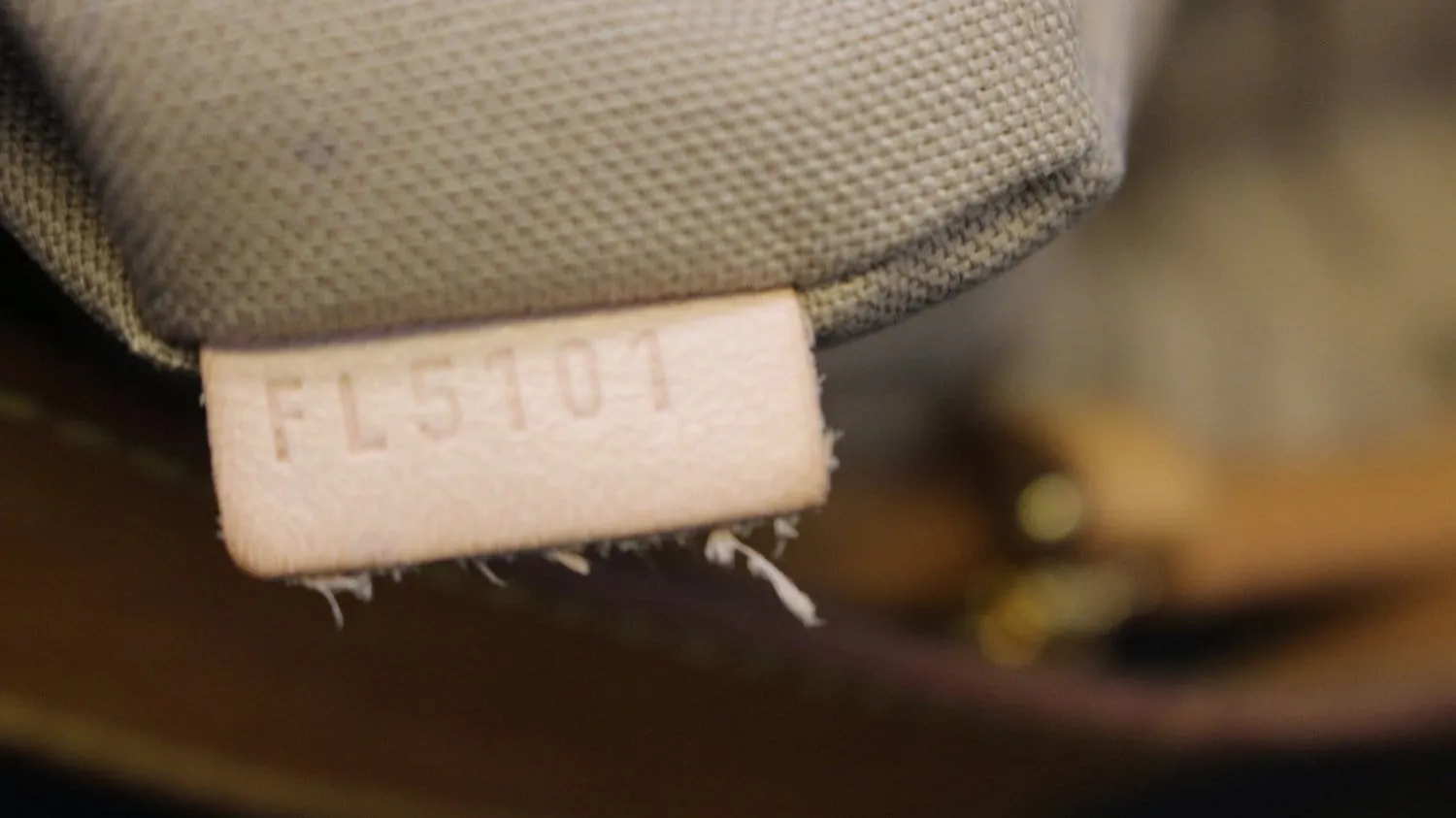 LOUIS VUITTON Monogram Canvas Delightful GM Bag