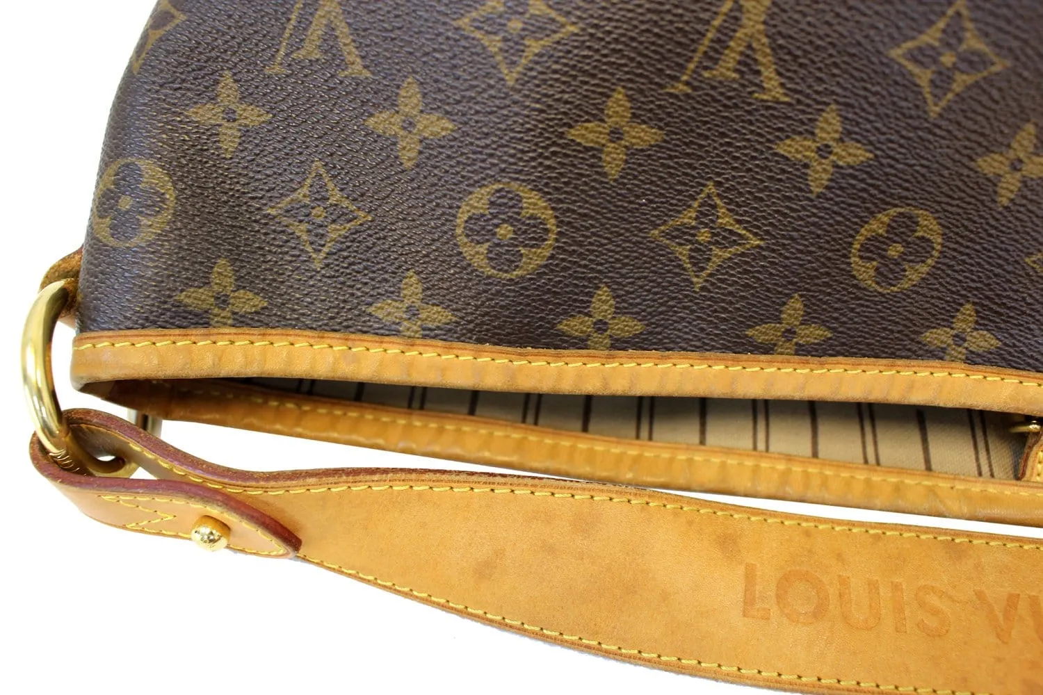 LOUIS VUITTON Monogram Canvas Delightful MM Bag