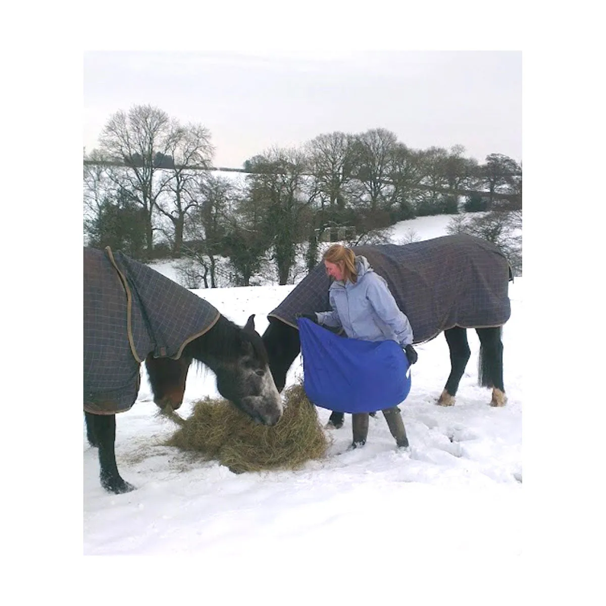 Moorland Rider Hay Carry