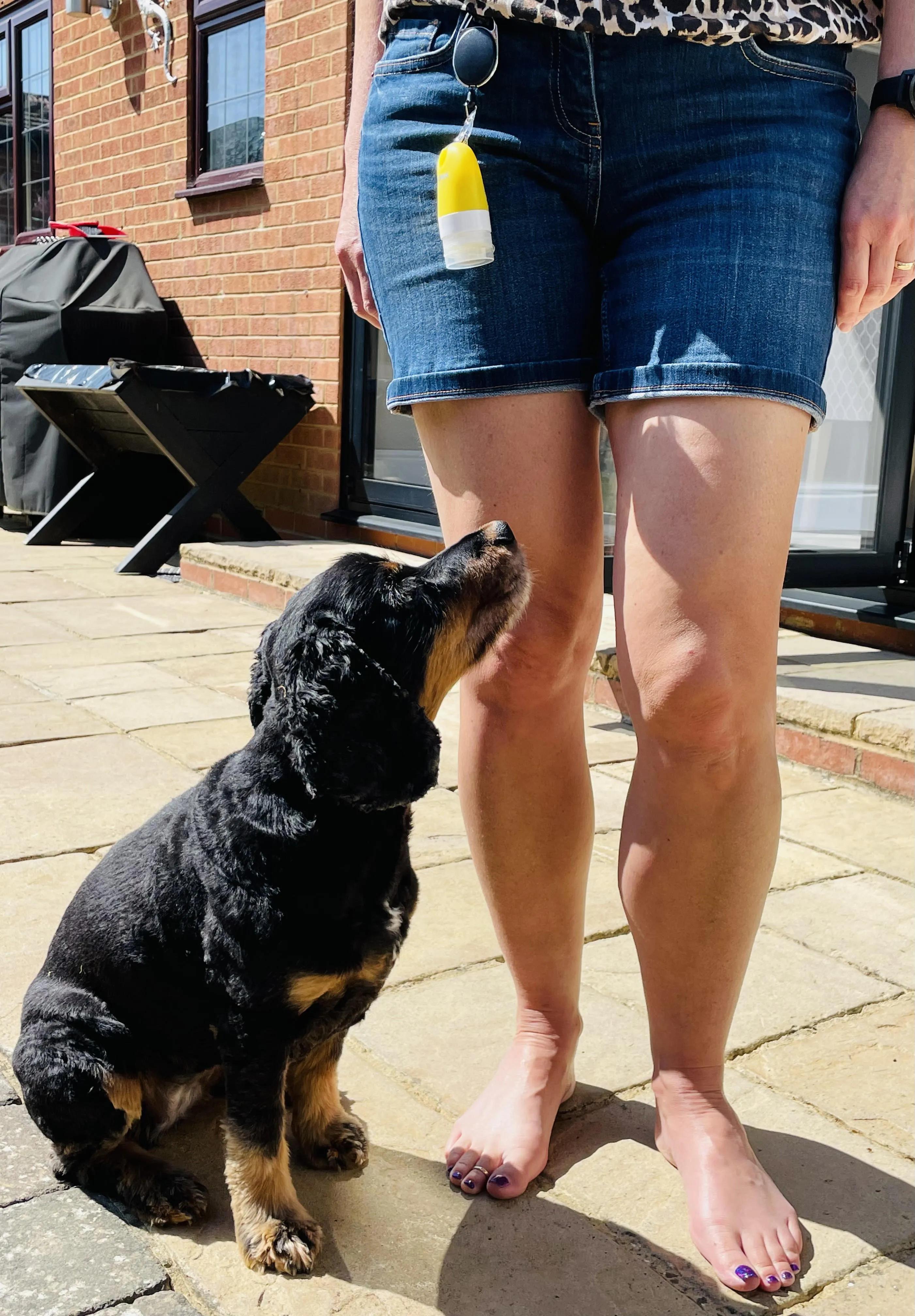 My Anxious Dog Squeezy Reward Treat Dispenser