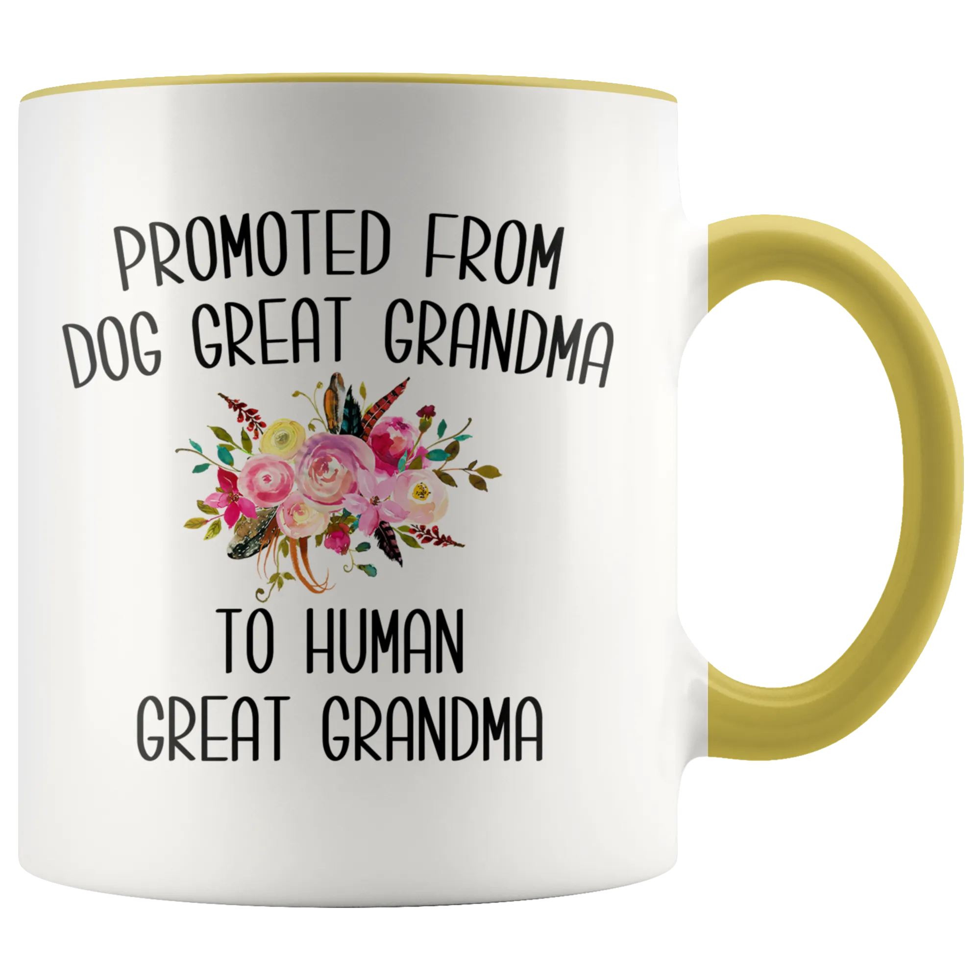 Promoted From Dog Great Grandma To Human Great Grandma Mug Great Grandmother Pregnancy Announcement Reveal Gift for Her