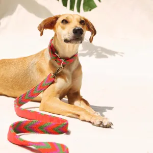 Rojo Leash