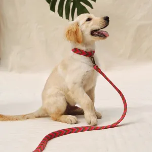 Rojo Set - Collar & Leash