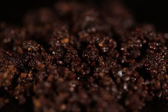 STICKY BAITS Bloodworm Spod & Bag Mix
