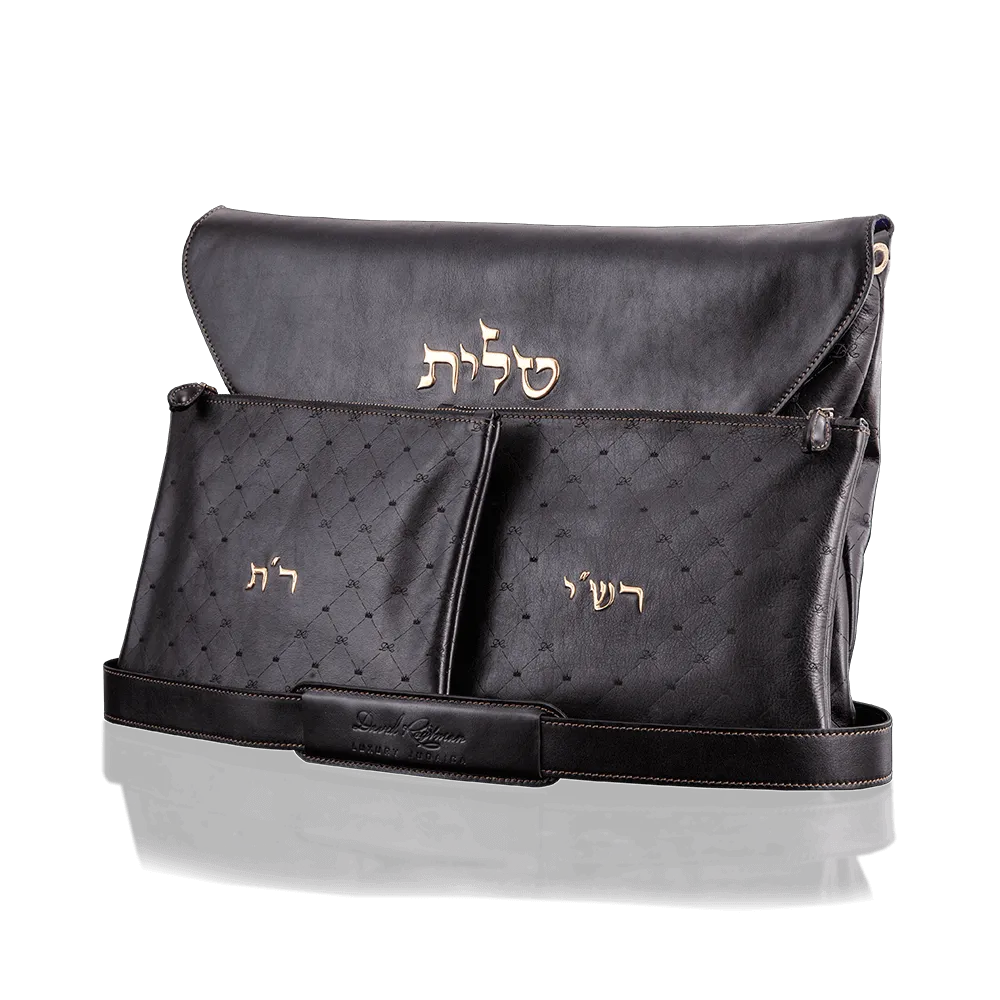 Tallit and Tefillin Bag - KING DAVID