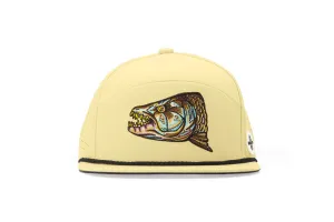 Tigerfish Head - Performance Flat Brim Hat