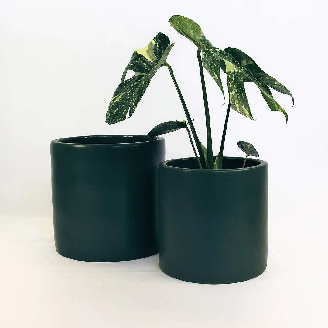 Urban Oasis Anika Pot Thyme 250mm