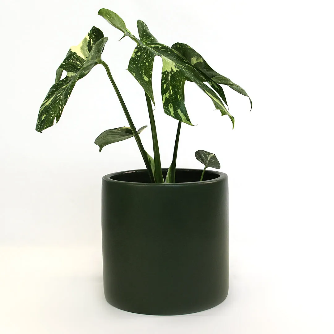 Urban Oasis Anika Pot Thyme 300mm