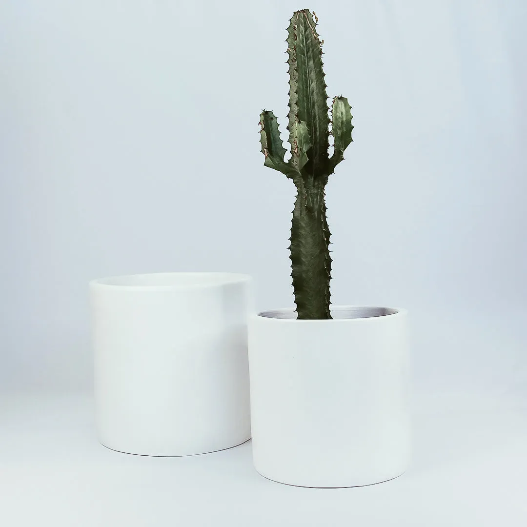 Urban Oasis Anika Pot White 250mm