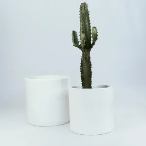 Urban Oasis Anika Pot White 250mm
