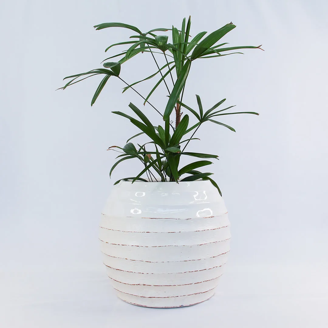 URBAN OASIS KORBO POT WHITE LARGE