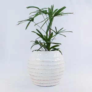 URBAN OASIS KORBO POT WHITE LARGE