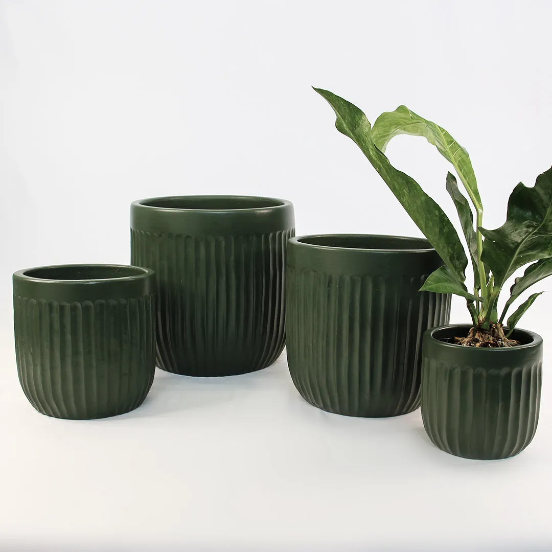 Urban Oasis Linea Pot Thyme 300mm
