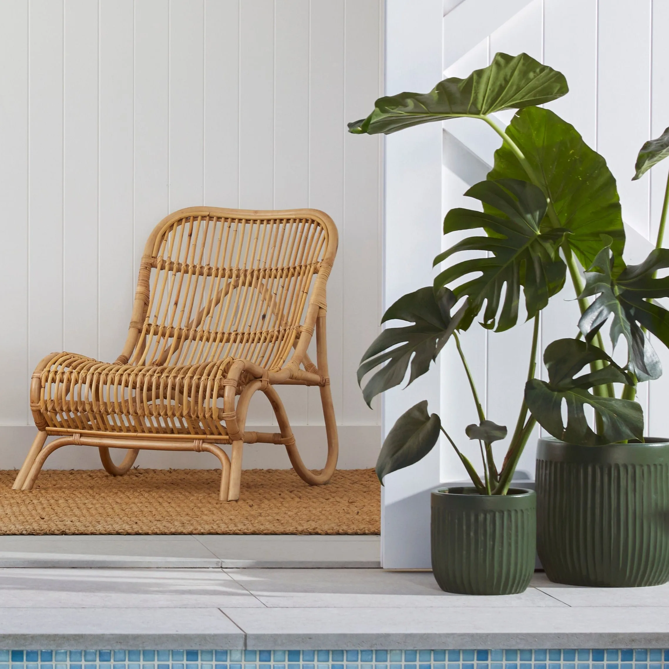 Urban Oasis Linea Pot Thyme 300mm