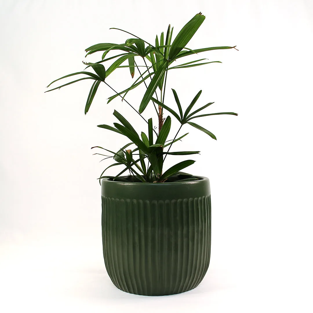 Urban Oasis Linea Pot Thyme 390mm