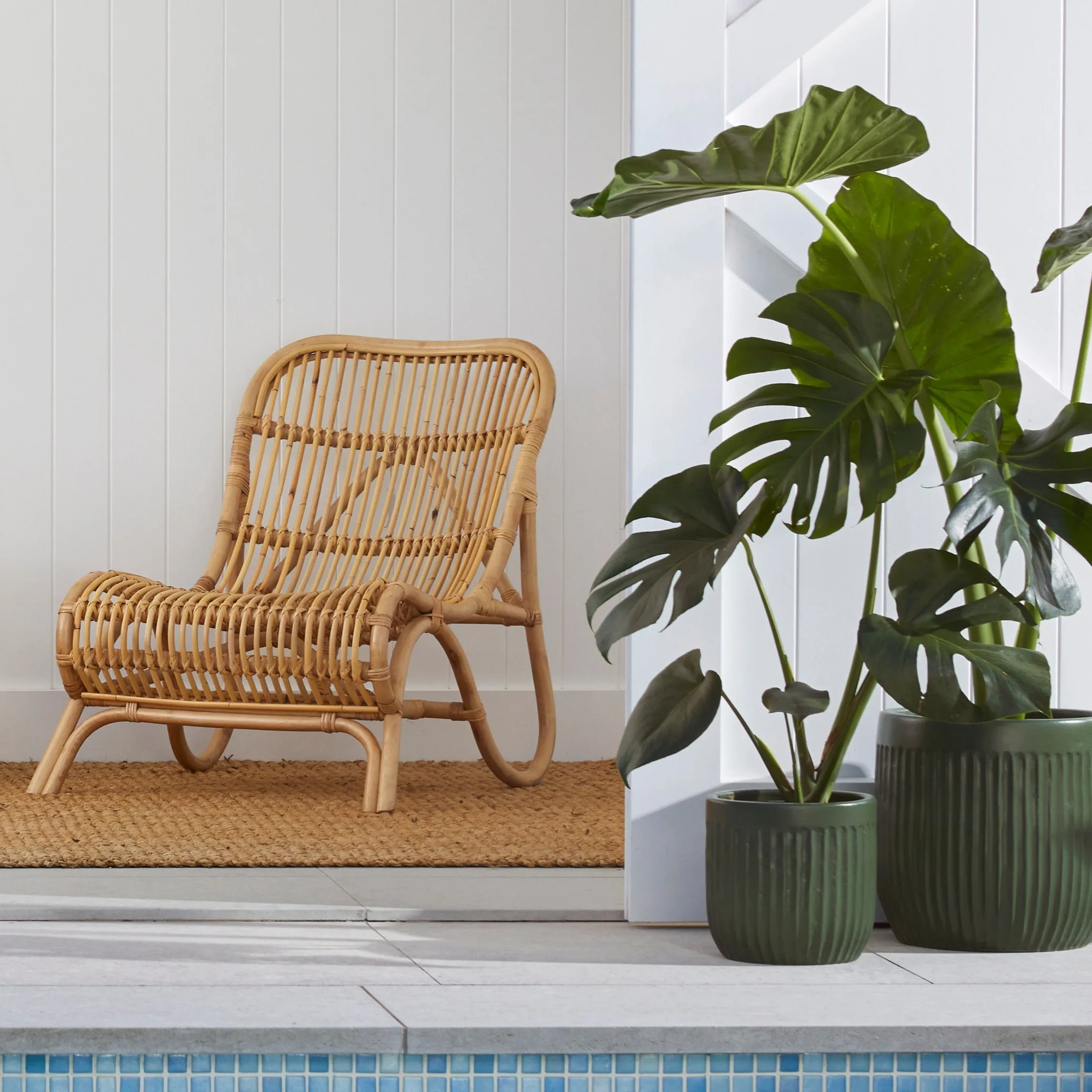 Urban Oasis Linea Pot Thyme 390mm