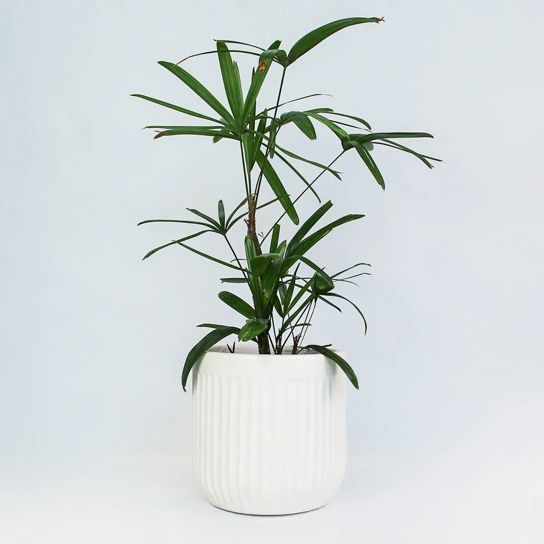 Urban Oasis Linea Pot White 390mm