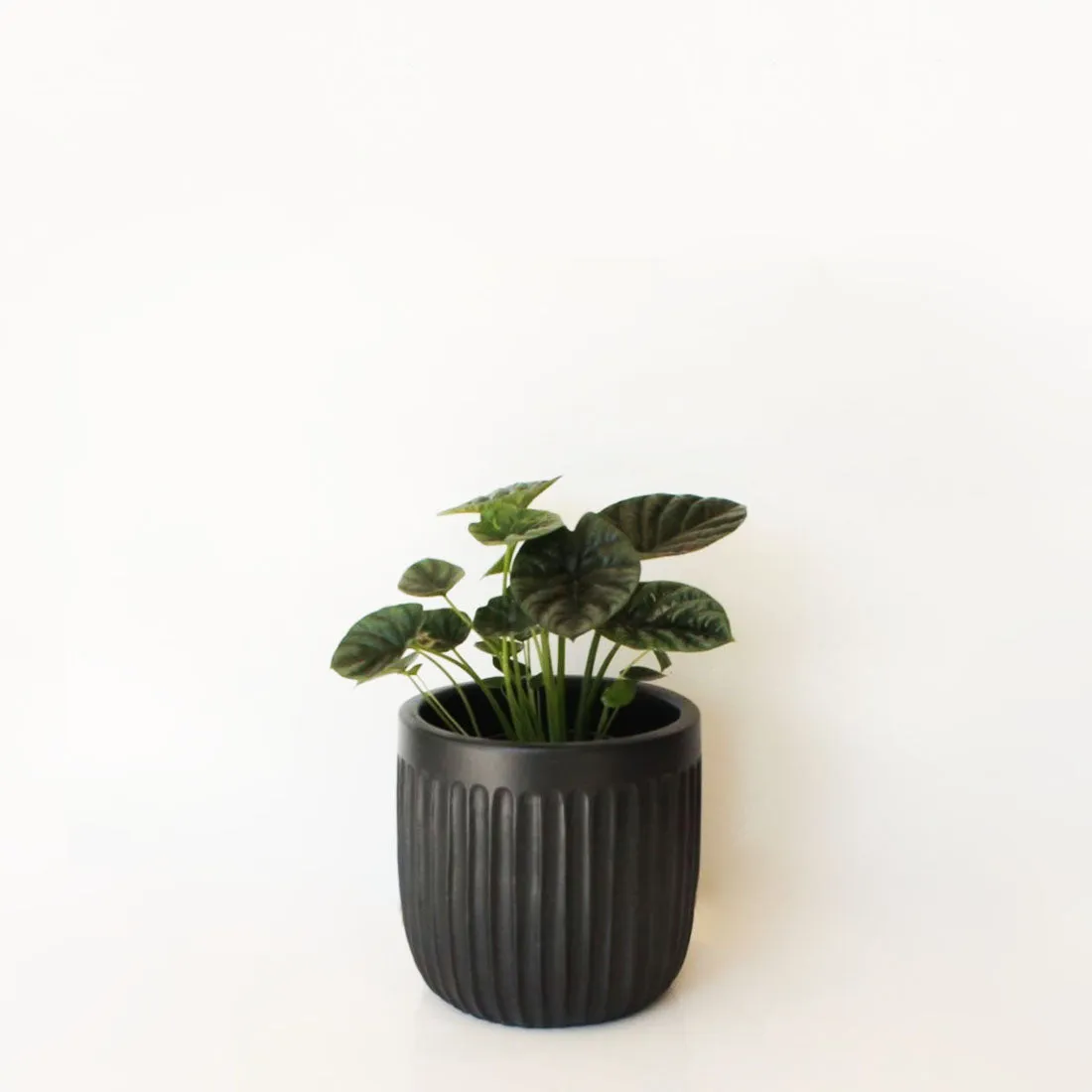 Urban Oasis Linea Pot Woodland Gray 150mm