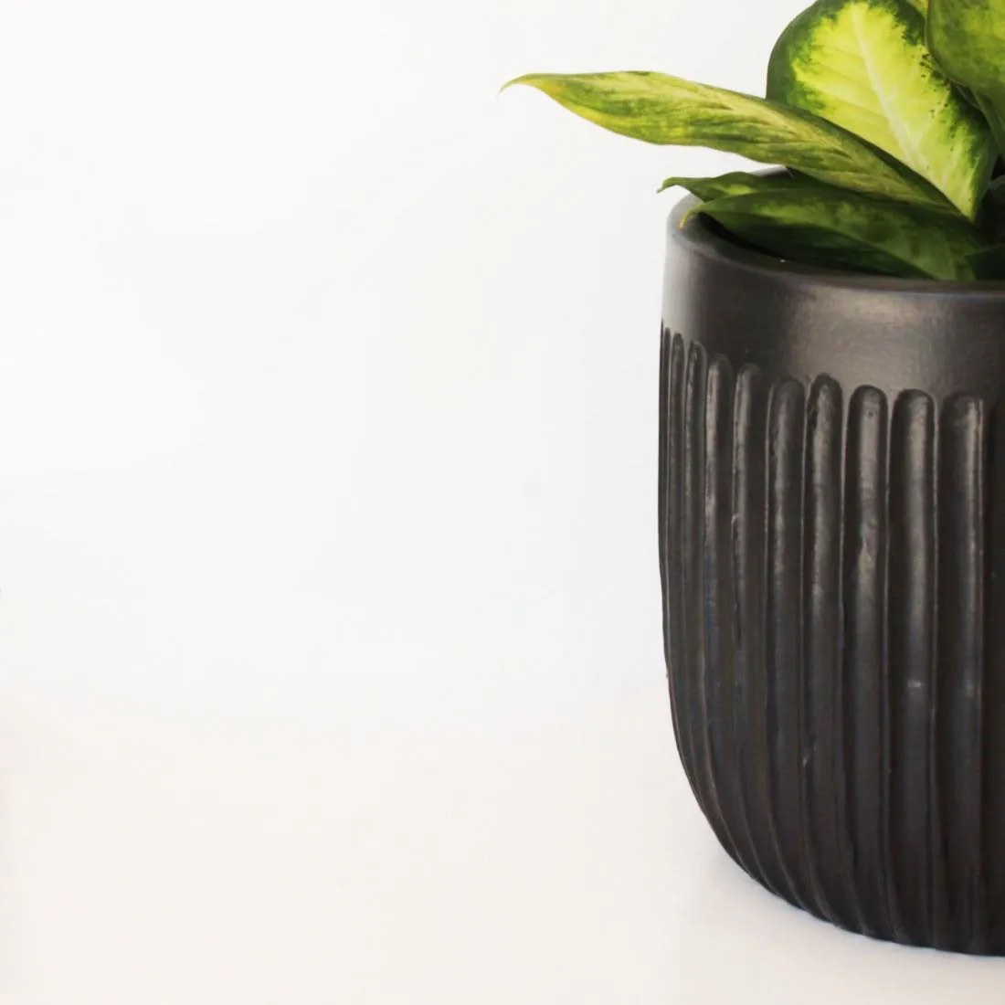 Urban Oasis Linea Pot Woodland Gray 250mm