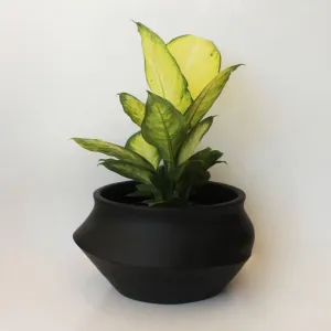 Urban Oasis Naya Pot Matte Black Large