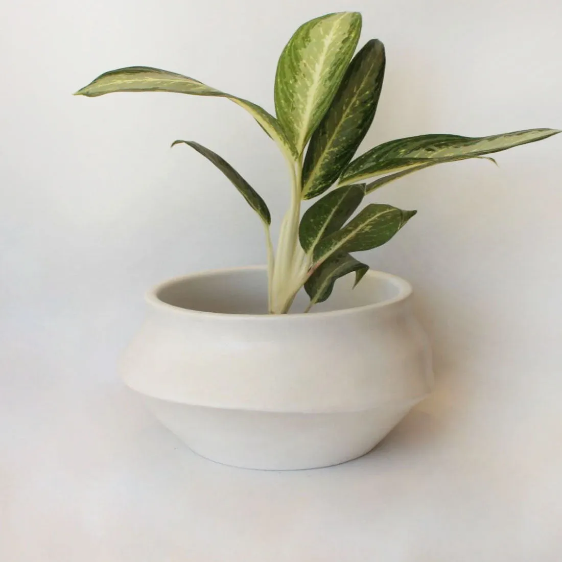 Urban Oasis Naya Pot Matte White Large