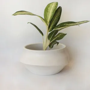 Urban Oasis Naya Pot Matte White Large