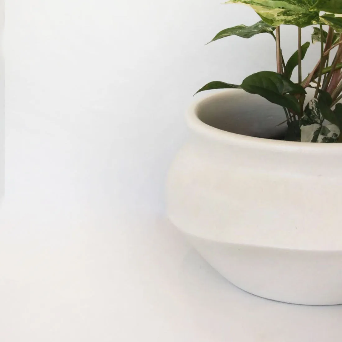 Urban Oasis Naya Pot Matte White Medium
