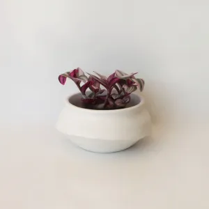Urban Oasis Naya Pot Matte White Small