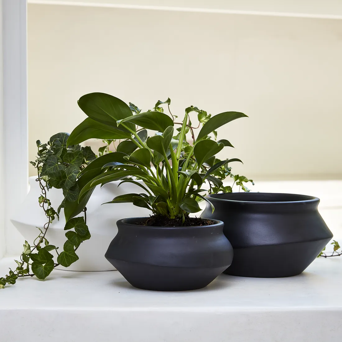 Urban Oasis Naya Pot Matte White Small