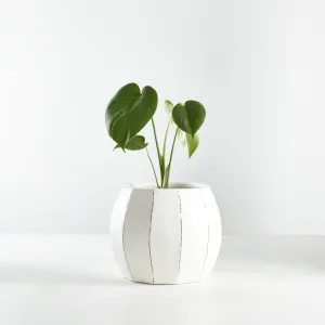 Urban Oasis Rena Pot White 210mm