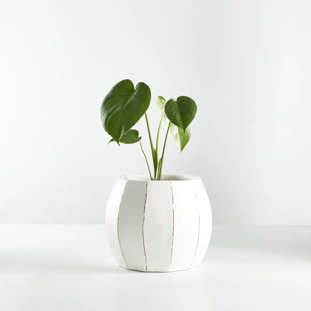 Urban Oasis Rena Pot White 210mm