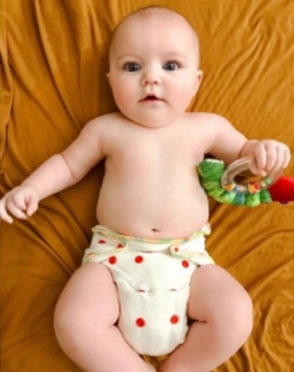 Wholesale Fitted Cloth Diapers